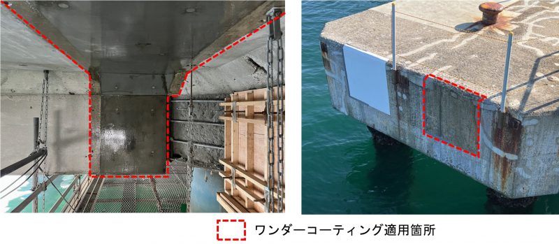 実証実験塗布状況写真（左：桟橋下面、右：ドルフィン側面）