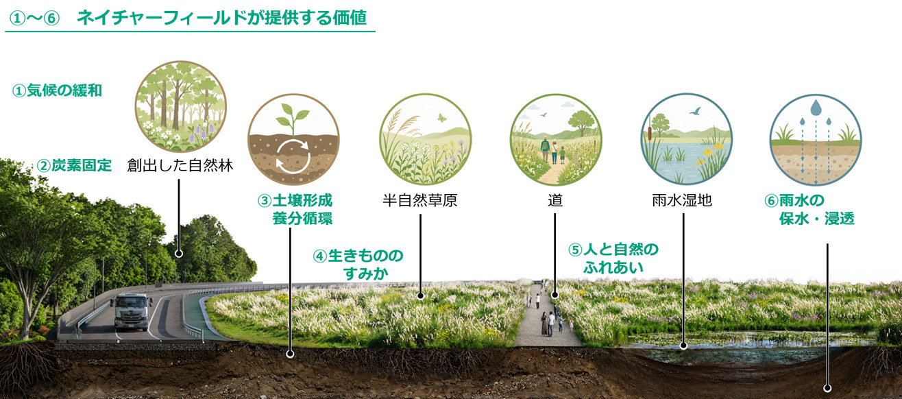 ネイチャーフィールドが提供する価値：気候の緩和、炭素固定、土壌形成・養分循環、生きもののすみか、人と自然のふれあい、雨水の保水・浸透