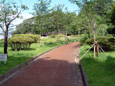 福浦島公園自然歩道（宮城県） 